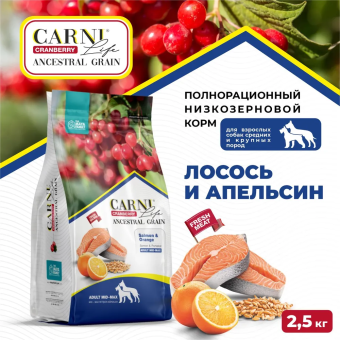 Корм Carni Medium Maxi для средних и крупных пород собак слососем, апельсином и клюквой
