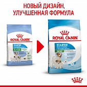 Royal Canin Mini Starter корм для щенков мелких размеров до 2-х месяцев, беременных и...