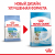 Royal Canin Mini Starter корм для щенков мелких размеров до 2-х месяцев, беременных и кормящих сук