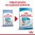 Royal Canin Mini Starter корм для щенков мелких размеров до 2-х месяцев, беременных и кормящих сук Royal Canin Mini Starter корм для щенков мелких размеров до 2-х месяцев, беременных и кормящих сук