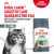 Корм Royal Canin Digestive Care для взрослых кошек с расстройством пищеварительной системы