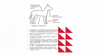 Корм AJO Dog Maxi Adult с гречкой для взрослых собак крупных пород