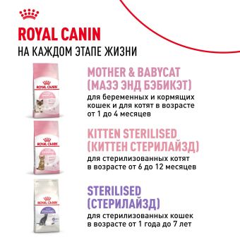 Royal Canin Kitten корм сухой сбалансированный для котят в период второй фазы роста до 12 месяцев