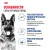 Корм сухой Royal Canin Maxi Adult для взрослых собак крупных размеров Корм сухой Royal Canin Maxi Adult для взрослых собак крупных размеров