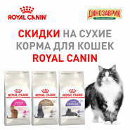 Скидка на сухие корма для кошек Royal Canin!
