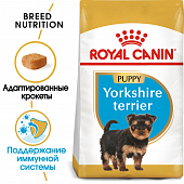 Сухой Корм Royal Canin Yorkshire Terrier Junior для щенков породы Йоркширский терьер