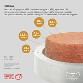 Банки Enso Basic полнорационный корм для взрослых кошек паштет с курицей и брусникой Банки Enso Basic полнорационный корм для взрослых кошек паштет с курицей и брусникой