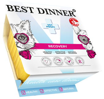 Ламистеры Best Dinner Vet Profi Recovery для кошек и собак при истощении и выздоровлении
