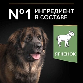 Сухой корм PRO PLAN® для взрослых собак крупных пород с мощным телосложением с чувствительным пищеварением, с ягненком Сухой корм PRO PLAN® для взрослых собак крупных пород с мощным телосложением с чувствительным пищеварением, с ягненком