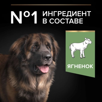 Сухой корм PRO PLAN® для взрослых собак крупных пород с мощным телосложением с чувствительным пищеварением, с ягненком