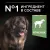 Сухой корм PRO PLAN® для взрослых собак крупных пород с мощным телосложением с чувствительным пищеварением, с ягненком Сухой корм PRO PLAN® для взрослых собак крупных пород с мощным телосложением с чувствительным пищеварением, с ягненком