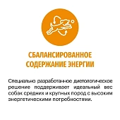 Сухой Корм Karmy Active Medium для собак, подверженных повышенным физическим нагрузкам с индейкой Сухой Корм Karmy Active Medium для собак, подверженных повышенным физическим нагрузкам с индейкой