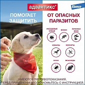 Капли на холку Адвантикс от блох, клещей и комаров для собак весом от 4 до 10 кг