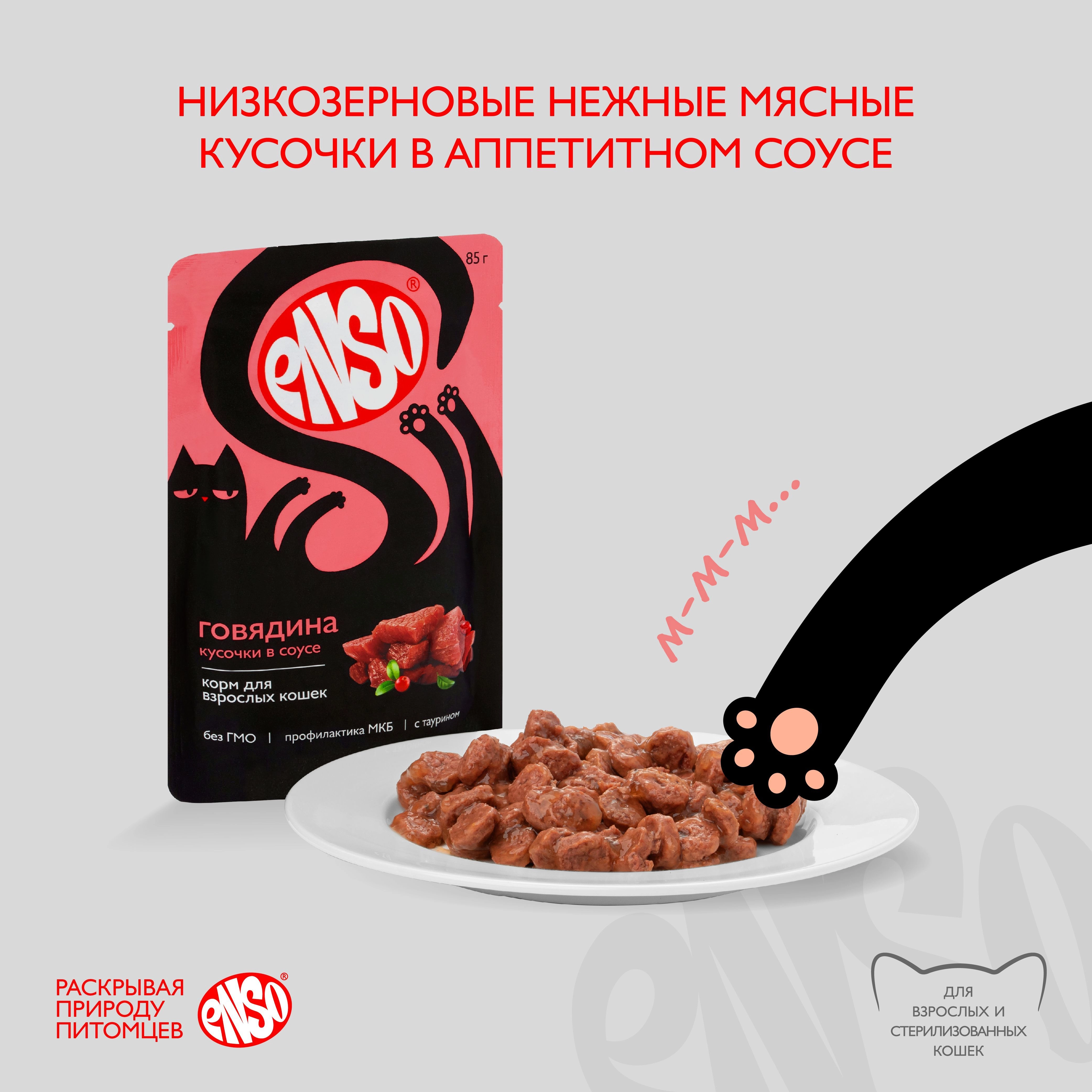 Паучи Enso Basic полнорационный корм для взрослых кошек кусочки в соусе с говядиной