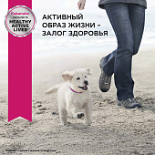 Eukanuba Puppy Medium Breed <12 months корм сухой для щенков средних пород в возрасте до года