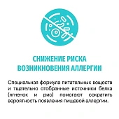 Сухой Корм Karmy Hypoallergenic Mini гипоаллергенный для собак мелких пород с ягнёнком Сухой Корм Karmy Hypoallergenic Mini гипоаллергенный для собак мелких пород с ягнёнком