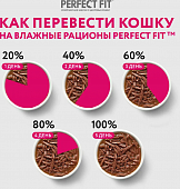 Паучи Perfect Fit для поддержания здоровья почек кошек с лососем в соусе