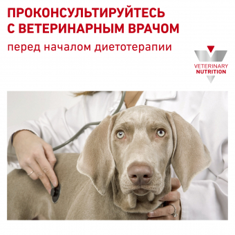 Royal Canin Hypoallergenic DR 21 Canine корм сухой диетический для взрослых собак при пищевой аллергии
