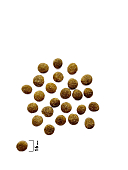 Корм Брит Кеа Метаболик для собак с морской рыбой и индейкой для улучшения обмена веществ