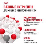 Паучи Royal Canin Light Weight Care для взрослых кошек для контроля набора веса мелкие кусочки в желе