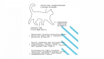 Корм AJO Cat Аctive для взрослых кошек