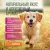 Банки Dog Lunch для щенков с говядиной Банки Dog Lunch для щенков с говядиной