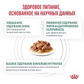 Паучи Royal Canin Satiety Weight Management для кошек, рекомендуемый для снижения веса