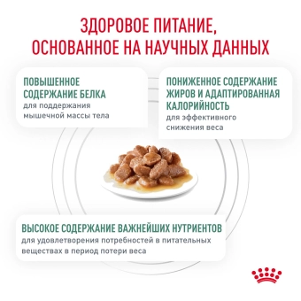 Паучи Royal Canin Satiety Weight Management для кошек, рекомендуемый для снижения веса