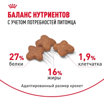 Корм для собак Royal Canin Mini Adult Корм сухой для взрослых собак мелких размеров от 10 месяцев