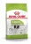 Royal Canin X-Small Adult корм сухой для взрослых собак очень мелких размеров от 10 месяцев Royal Canin X-Small Adult корм сухой для взрослых собак очень мелких размеров от 10 месяцев