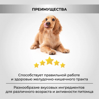 Корм Necon No Gluten TacchiNo E Riso для взрослых собак всех пород с индейкой и рисом