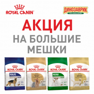 Акция на большие мешки корма для собак марки Royal Canin!