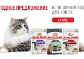 Паучи для кошек марки Royal Canin по сниженной цене!