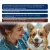 Банки Original Choice VetDiet Hypoallergenic ветеринарная диета для собак с аллергией или пищевой непереносимостью Банки Original Choice VetDiet Hypoallergenic ветеринарная диета для собак с аллергией или пищевой непереносимостью