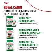 Паучи Royal Canin Mini Ageing 12+ для собак маленьких пород собак в возрасте сраше 12 лет