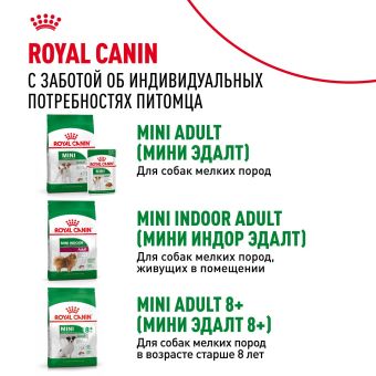 Паучи Royal Canin Mini Ageing 12+ для собак маленьких пород собак в возрасте сраше 12 лет