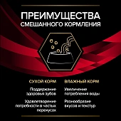 Влажный корм для кошек PRO PLAN® VETERINARY DIETS DM ST/OX Diabetes Management при сахарном диабете, с говядиной,в соусе