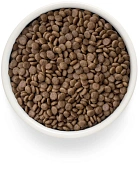 Сухой Корм Grandorf Fresh Cat Salmon Sterilised свежее филе лосося с бататом для стерелизованных кошек Сухой Корм Grandorf Fresh Cat Salmon Sterilised свежее филе лосося с бататом для стерелизованных кошек