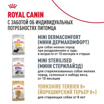 Корм для котят Royal Canin Kitten Корм сухой сбалансированный период второй фазы роста