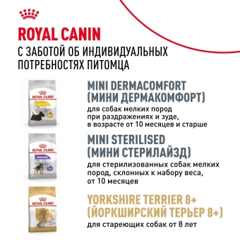 Корм для котят Royal Canin Kitten Корм сухой сбалансированный период второй фазы роста