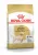 Royal Canin Labrador Retriever корм сухой для взрослых собак породы Лабрадор Ретривер от 15 месяцев Royal Canin Labrador Retriever корм сухой для взрослых собак породы Лабрадор Ретривер от 15 месяцев