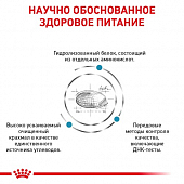 Сухой Корм Royal Canin Skin Support для собак при при атопии и дерматозах