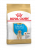 Royal Canin Labrador Retriever Puppy корм сухой для щенков породы лабрадор ретривер до 15 месяцев