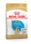 Royal Canin Labrador Retriever Puppy корм сухой для щенков породы лабрадор ретривер до 15 месяцев