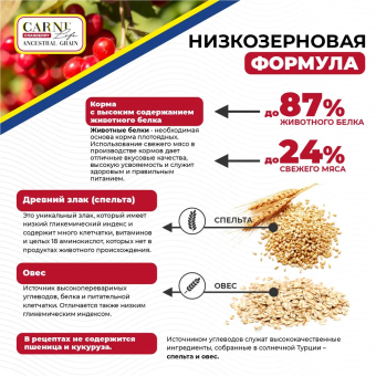Корм Carni Medium Maxi для средних и крупных пород собак слососем, апельсином и клюквой