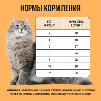 Корм Bowl Wow для кошек с чувствительным пищеварением полнорационный с индейкой и тыквой