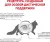 Royal Canin Gastrointestinal Hairball корм для взрослых кошек при нарушениях пищеварения, сухой диетический Royal Canin Gastrointestinal Hairball корм для взрослых кошек при нарушениях пищеварения, сухой диетический
