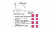 Сухой Корм AJO Cat Skin & Hair для кошек здоровая кожа и красивая шерсть Сухой Корм AJO Cat Skin & Hair для кошек здоровая кожа и красивая шерсть
