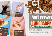 Корма и лакомства Winner в зоомагазинах Динозаврик