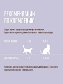 Паучи Деревенские Лакомства для кошек филейный лосось в нежном желе Паучи Деревенские Лакомства для кошек филейный лосось в нежном желе